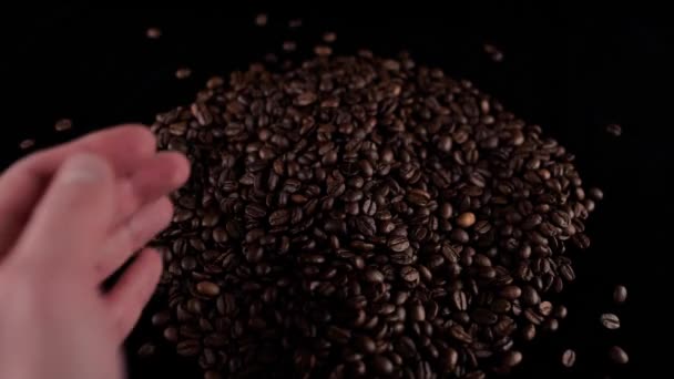 Frisch Geröstete Kaffeebohnen Ergießen Sich Aus Den Händen — Stockvideo