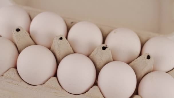 Beyaz Arka Planda Karton Tepside Taze Çiğ Tavuk Yumurtası — Stok video