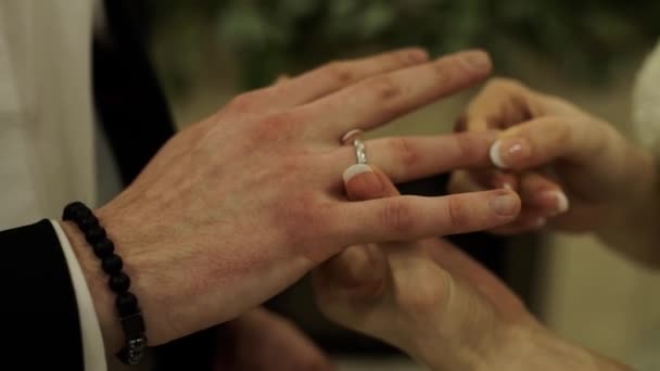 新郎新婦の交換結婚指輪を閉じる — ストック動画