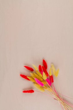 Beyaz arkaplanda bir buketin içindeki çok renkli kuru dallar.