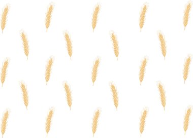 Sarı dikenler çiftliğin arka bahçesinde büyüyor.