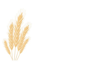 Sarı dikenler çiftliğin arka bahçesinde büyüyor.