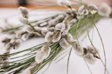 Bir buket dal ve fok bahar arkaplanı