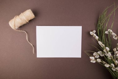 beyaz arka planda beyaz kağıtlı bir mühür bitkisi dalları