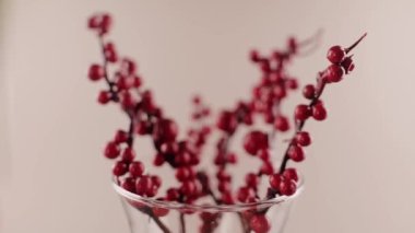 Kuru kırmızı böğürtlenli dallar bahar arkaplanı Paskalya güzel