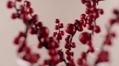 Kuru kırmızı böğürtlenli dallar bahar arkaplanı Paskalya güzel