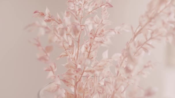배경의 낙엽에 분홍빛 잎사귀들이 튀기고 — 비디오