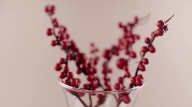 Kuru kırmızı böğürtlenli dallar bahar arkaplanı Paskalya güzel