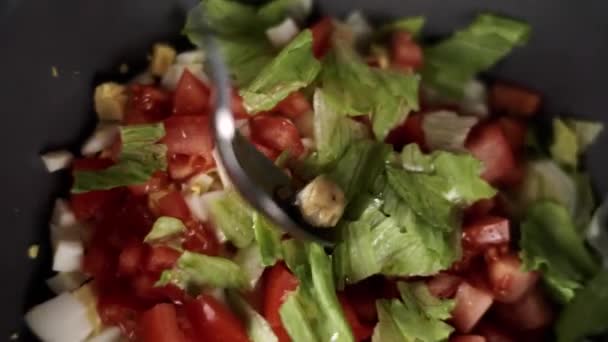 Cozze Insalata Verdure Con Pomodoro Cucina — Video Stock