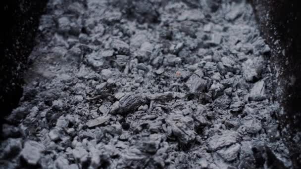 生火后烤炉里的煤和灰 — 图库视频影像