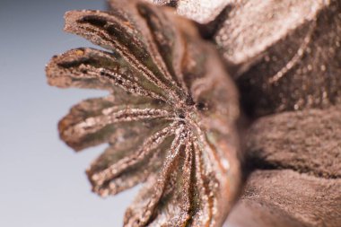 Gelincik çiçeği altın arka plan dekor lüksü