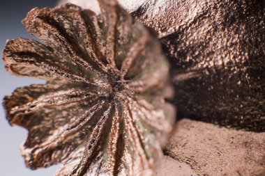 Gelincik çiçeği altın arka plan dekor lüksü