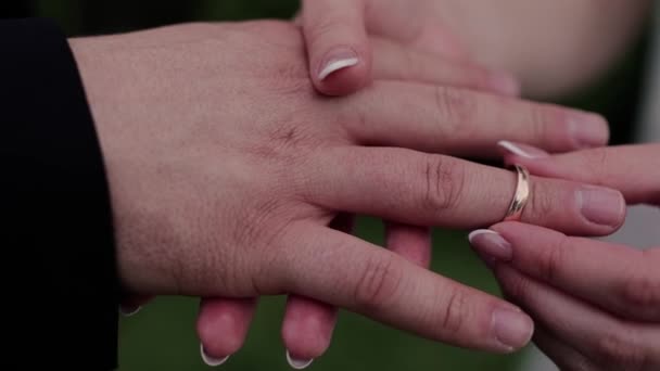 Groom Bride Put Wedding Ring Finger — Stock videók