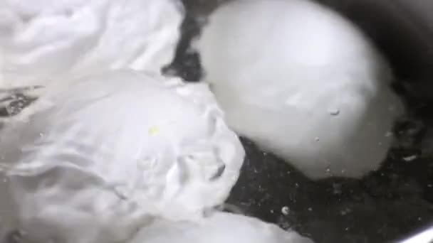 Los Huevos Pollo Hierven Agua Hirviendo — Vídeos de Stock