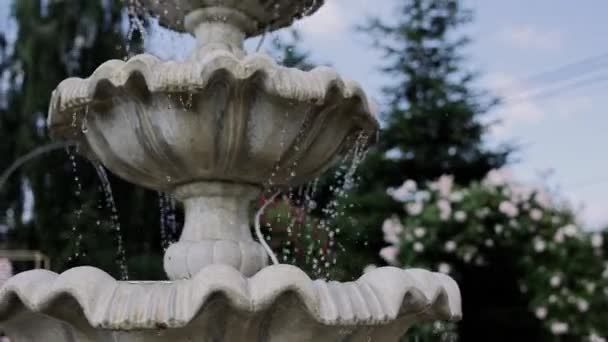 Decoratieve Fontein Tuin Mooi Met Water — Stockvideo