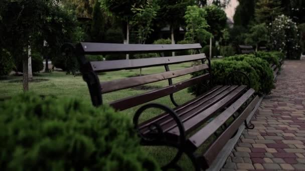 公园里的大型木制长椅 在大自然中 — 图库视频影像