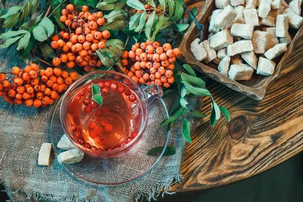 Cup of tea with rowan berries (sorbus aucuparia, ashberry) and brown sugar on a wooden table — Stock Photo, Image