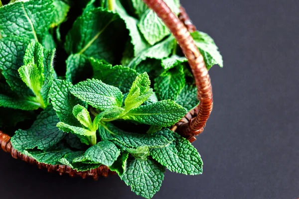Green fresh mint in small basket on dark background, peppermint, copy space, selective focus, close up. — Stock Photo, Image