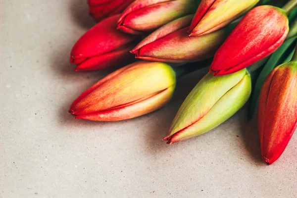 Tulips spring flowers. Fresh tulip plants on vintage background. Countryside nature. Springtime photo, invitation,postcard. Red tulips bouquet with space for message. Mother's Day background. Top view