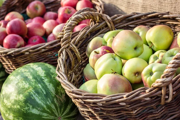 Спелые свежие зеленые и красные органические яблоки в корзине на рынке. Время сбора урожая. Фрукты покупают на местном открытом фермерском рынке — стоковое фото