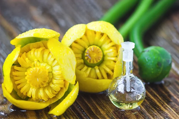 Ätherisches Öl in Glasflasche mit frischen Blüten von Nuphar Lutea, gelbe Seerose, Brandy-Flasche-Schönheitsbehandlung. Wellness-Konzept. Selektiver Fokus. — Stockfoto