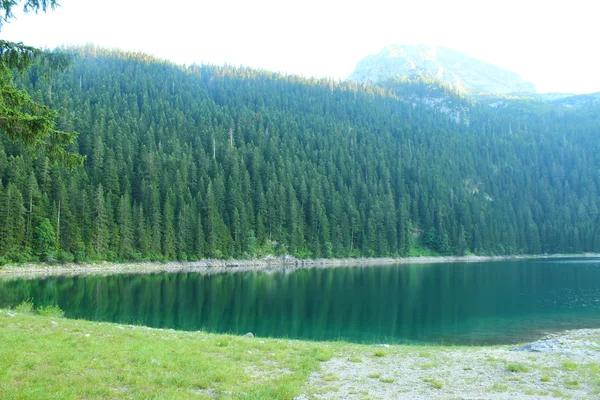 Black Lake Montenegro — Stock Photo, Image