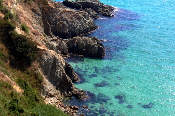 Vackra Kaphalvön Crimea — Stockfoto