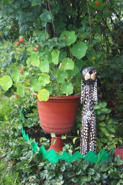 Köpek Bahçe şekil 