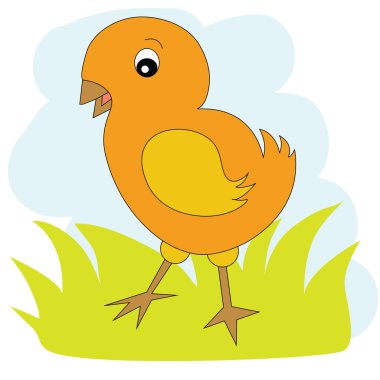 Yeşil çimenlerin üzerinde tavuk