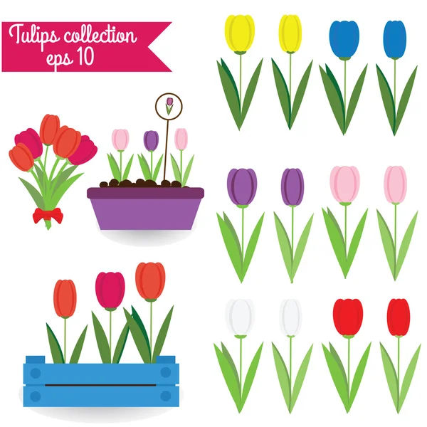 Tulipany kolekcji vector clipart — Wektor stockowy