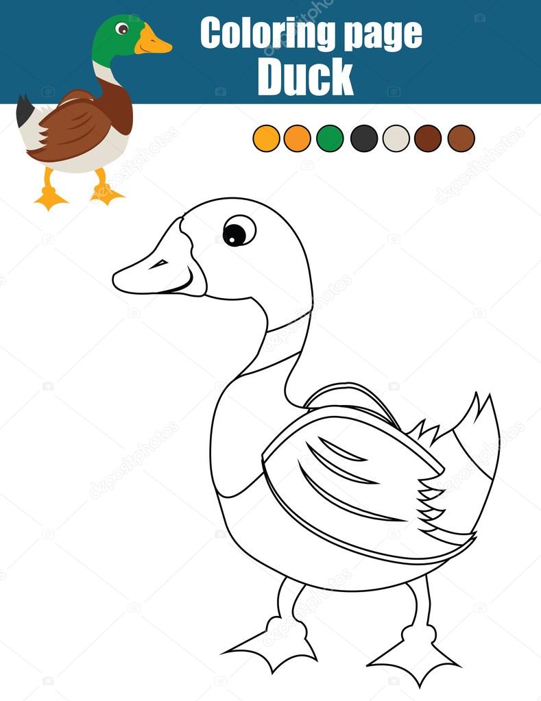Coloriage avec le canard Couleur du canard   l activité de dessin Jeu éducatif pour les enfants th¨me animaux — Vector by bonnyheizeail