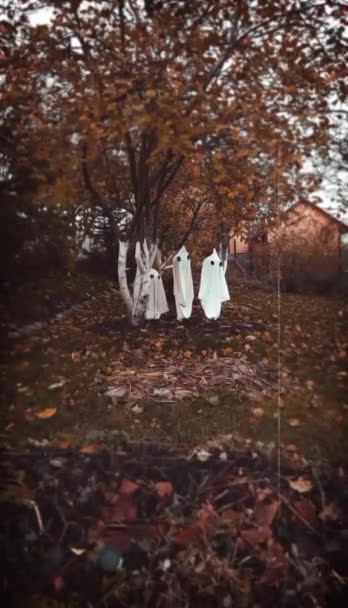 Halloween Geist Hinterhof Vintage Stil Kamera Vertikale Handy Video Für — Stockvideo
