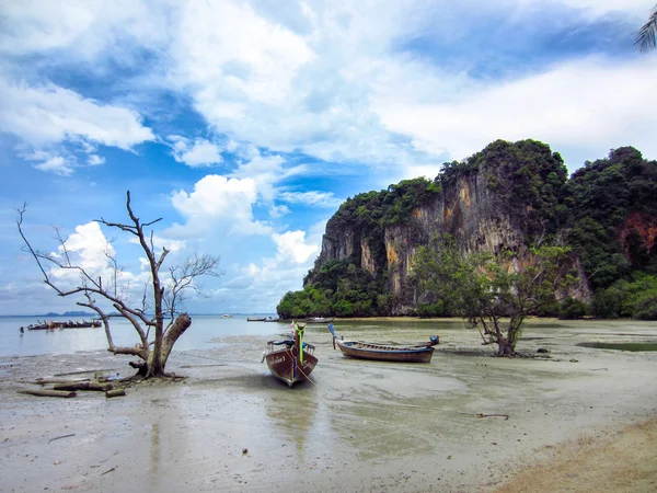 Tropischer Strand und Meer — Stockfoto