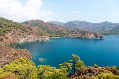 Palmiye, tropikal sahil ve deniz