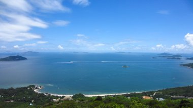 Palmiye, tropikal plaj ve deniz