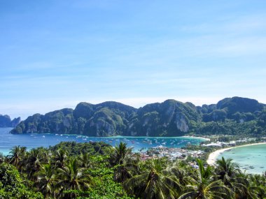 Palmiye, tropikal plaj ve deniz