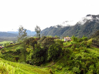 Manzara panorama görünümünü alan Dağı'nda