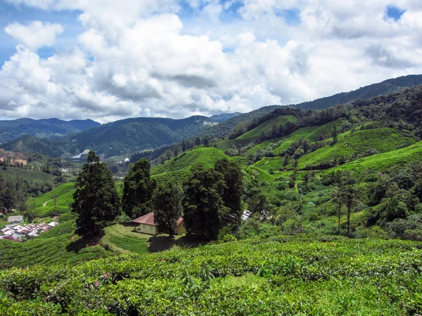 Panorama paesaggistico vista del campo in montagna — Foto Stock