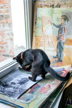Rusya, Omsk - 2 Temmuz 2015: Painting Studio'da kedi