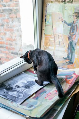 Rusya, Omsk - 2 Temmuz 2015: Painting Studio'da kedi