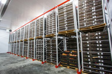 Factory warehouse stock boxes