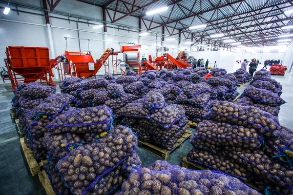 Vegetables and groceries in big warehouse
