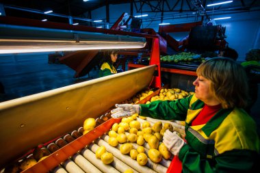 Russia, Omsk - September 26, 2014: vegetable factory