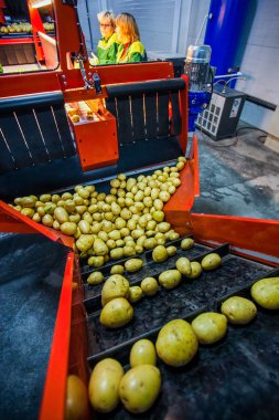 Russia, Omsk - September 26, 2014: vegetable factory
