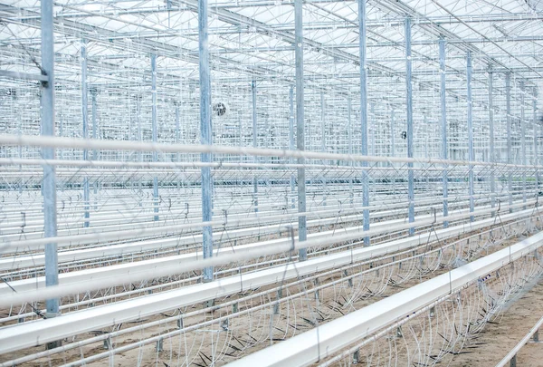 Interior of an Empty Industrial Greenhouse — Stock Photo, Image