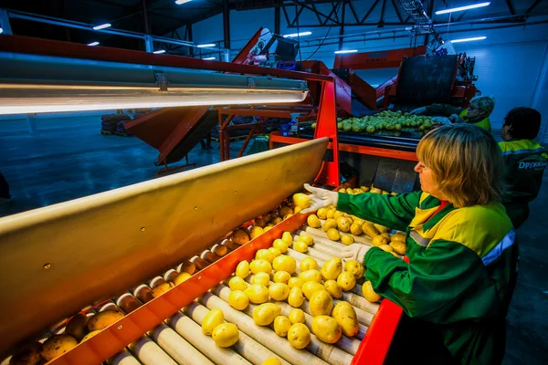 Russia, Omsk - September 26, 2014: vegetable factory