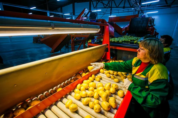 Rusia, Omsk - 26 de septiembre de 2014: fábrica de hortalizas — Foto de Stock