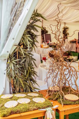 Parti için doğal dekorasyon