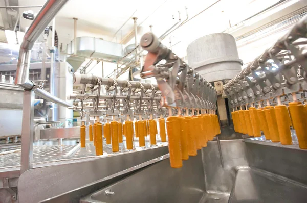 Meyve dondurma otomatik üretim hattı