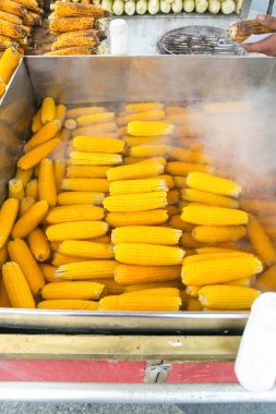 Barbekü koymak için hazır Mısır